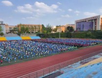 青海卫视龙斗ufc最新一期足球球衣设计软件2025网球直播免费观看